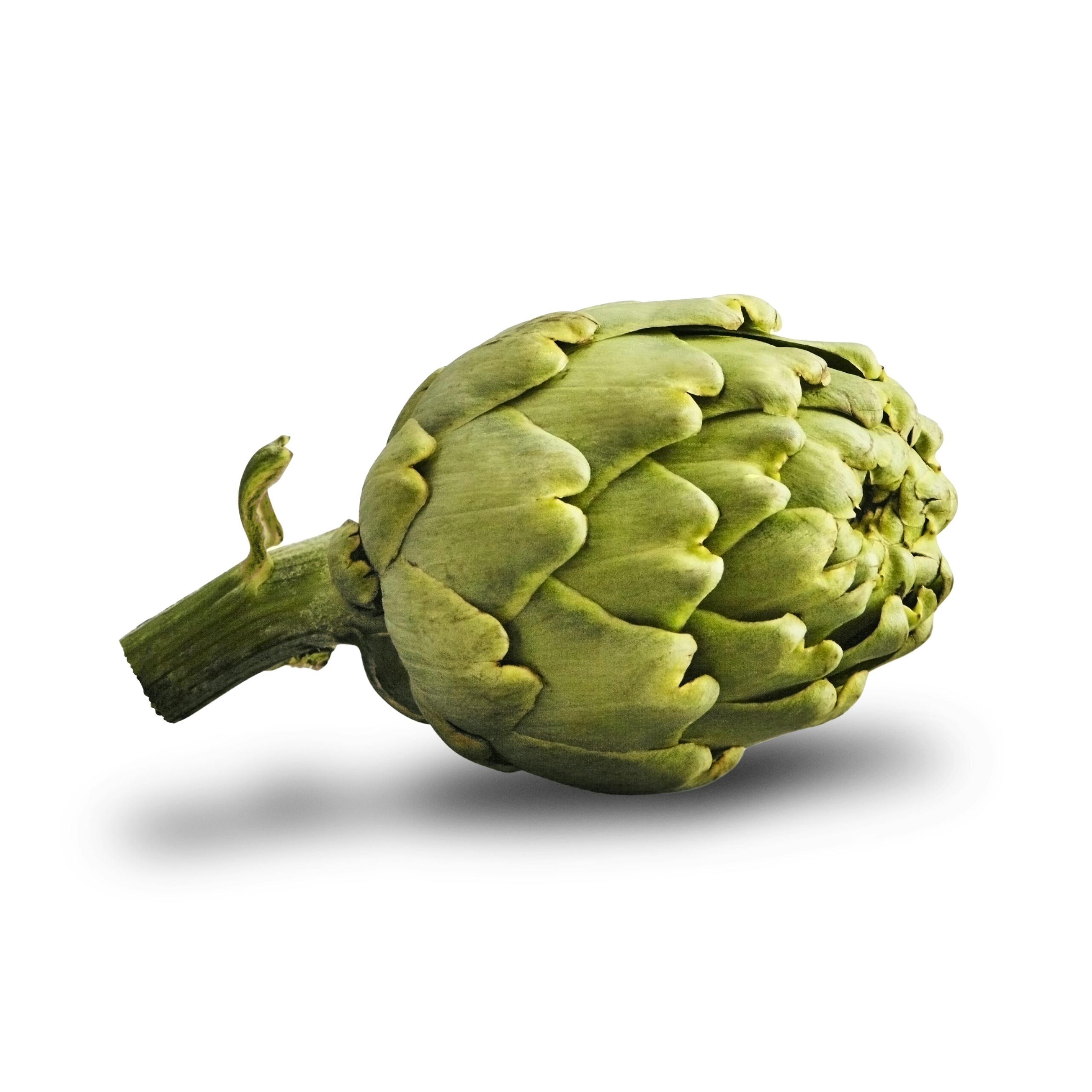 Alcachofa Mercadona