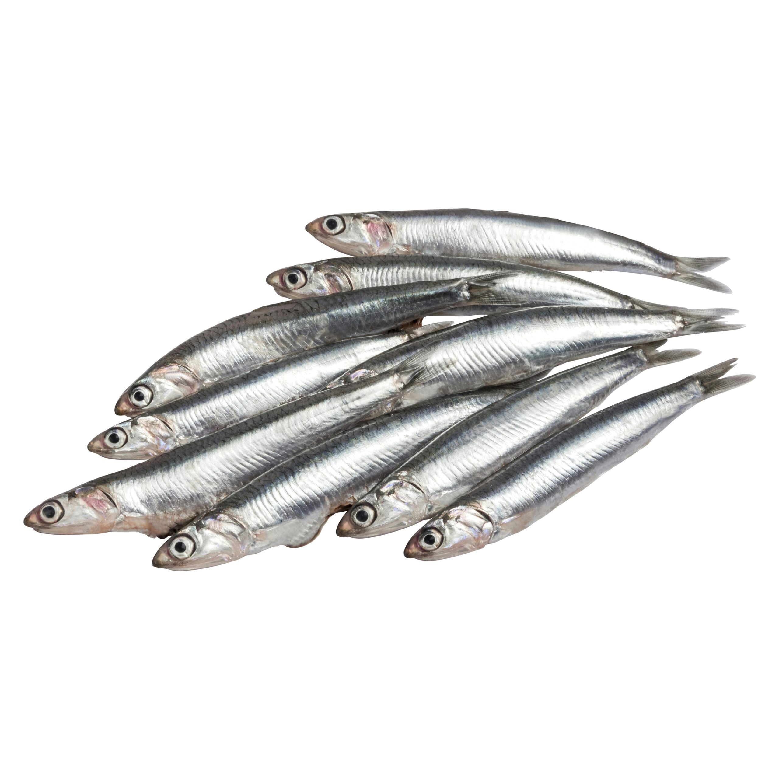 Boquerón sin limpiar Boquerón sin limpiar
