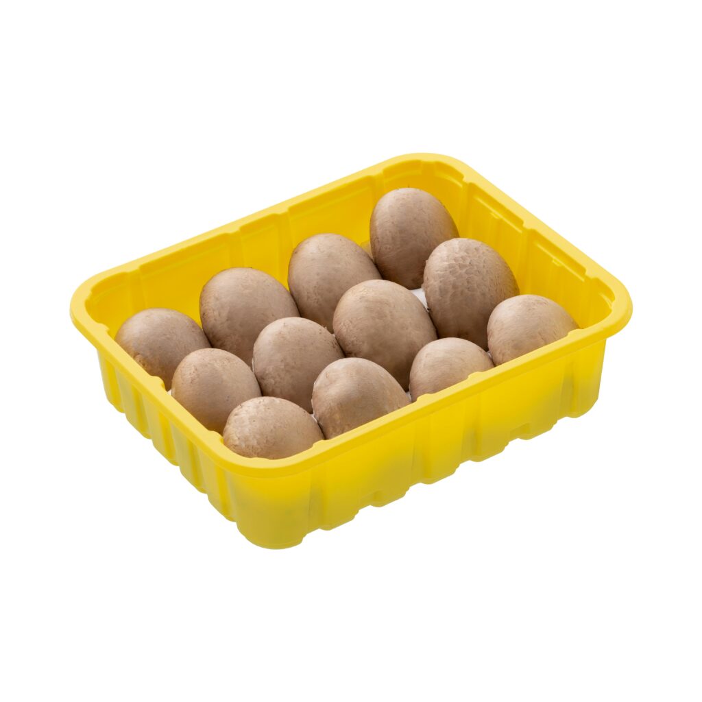 Champiñón Portobello