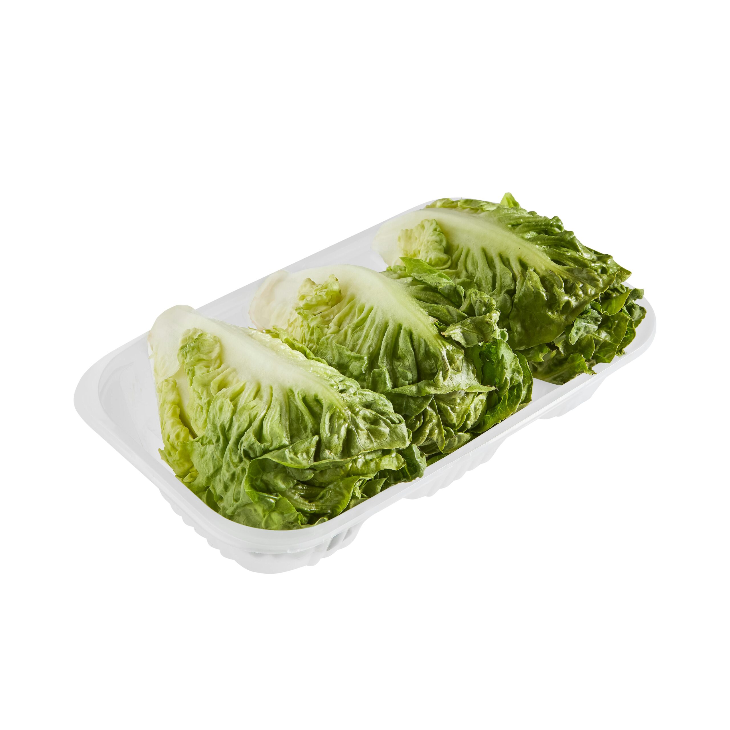 Cogollos de lechuga Mercadona