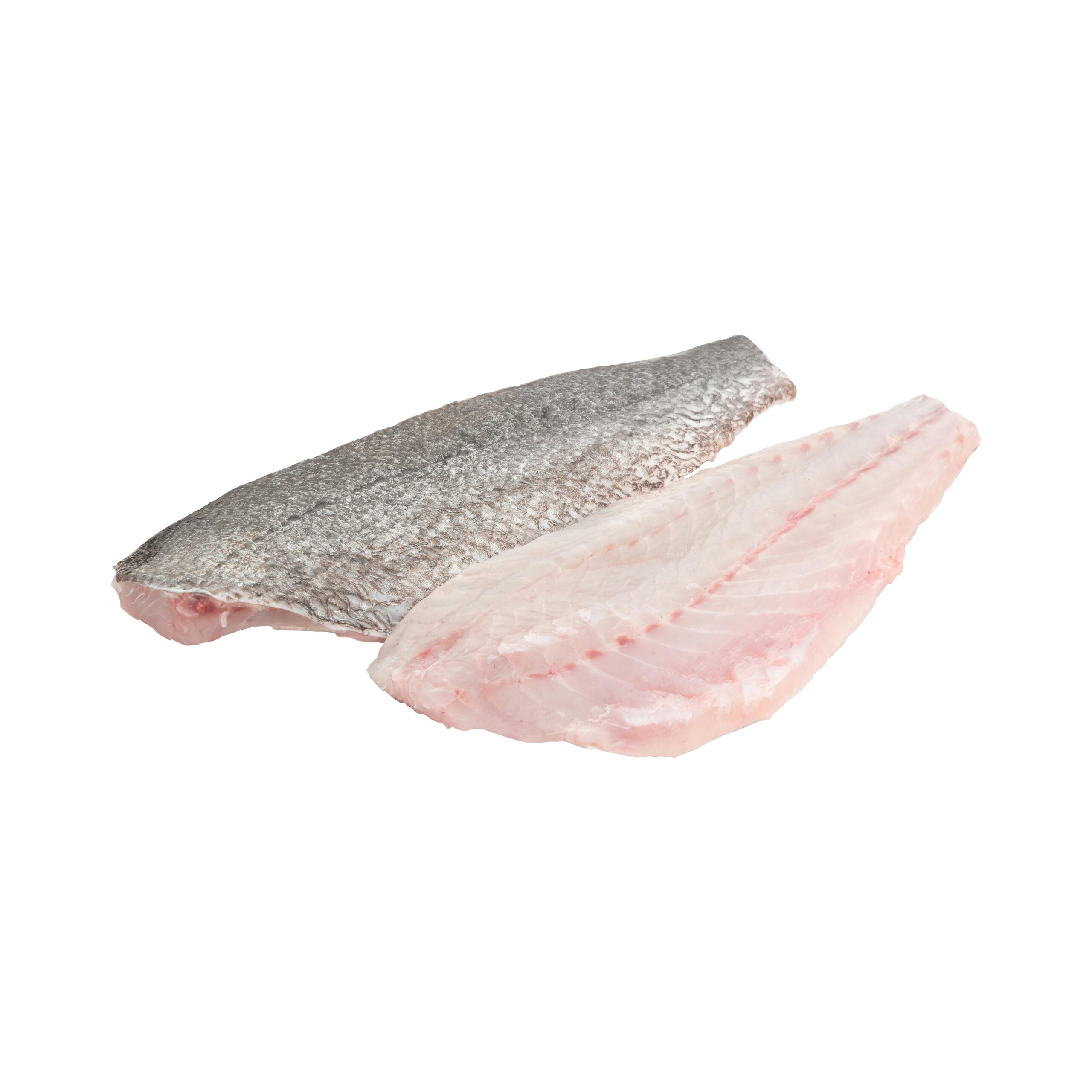 Corvina a filetes Corvina a filetes