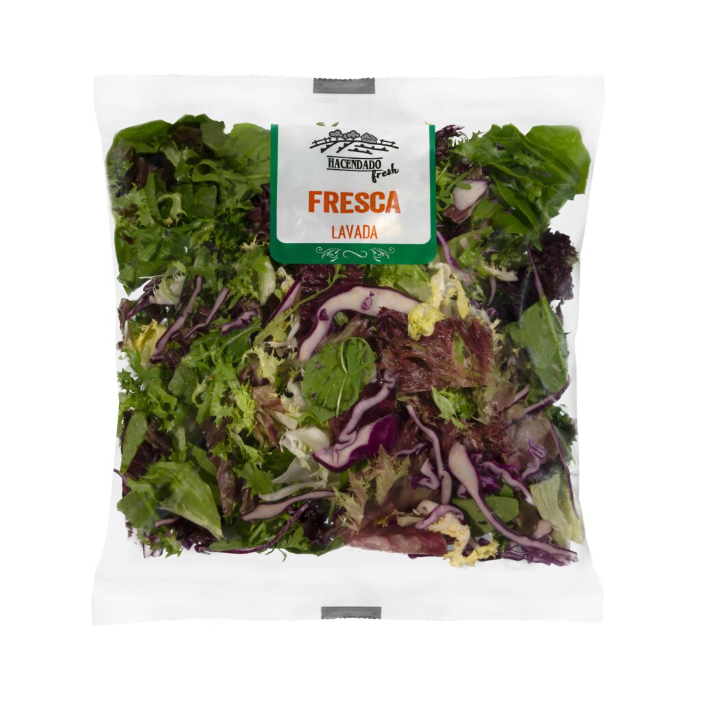 Ensalada mezcla fresca compuesta por escarola rizada