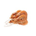 Langostino cocido Langostino cocido