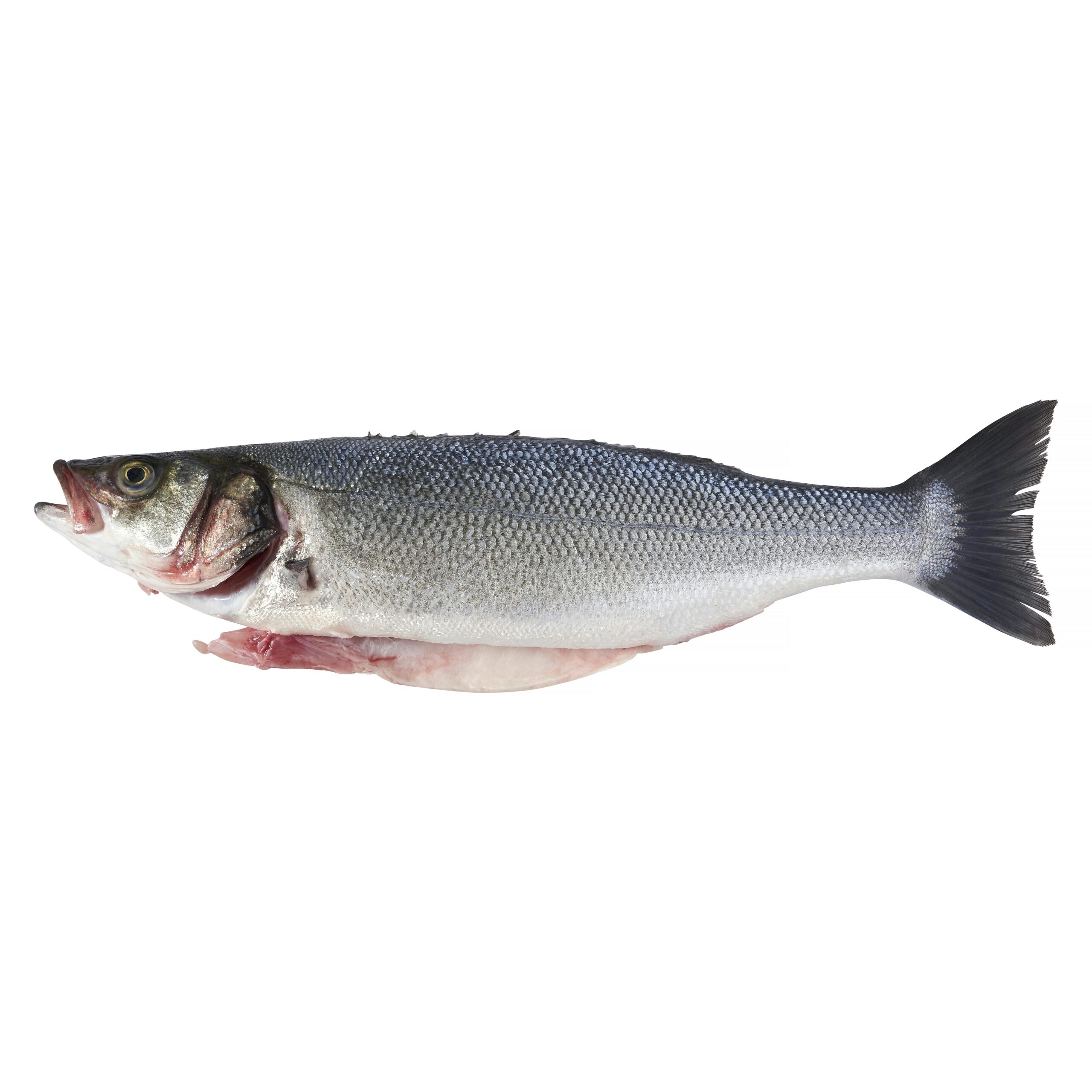 Lubina limpia con cabeza Lubina limpia con cabeza