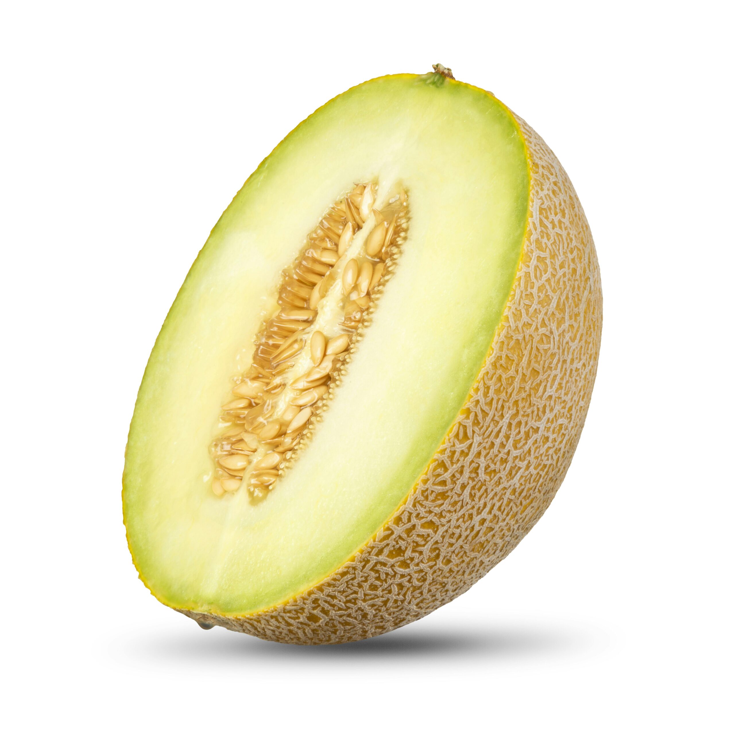 Etiqueta Melón Galia