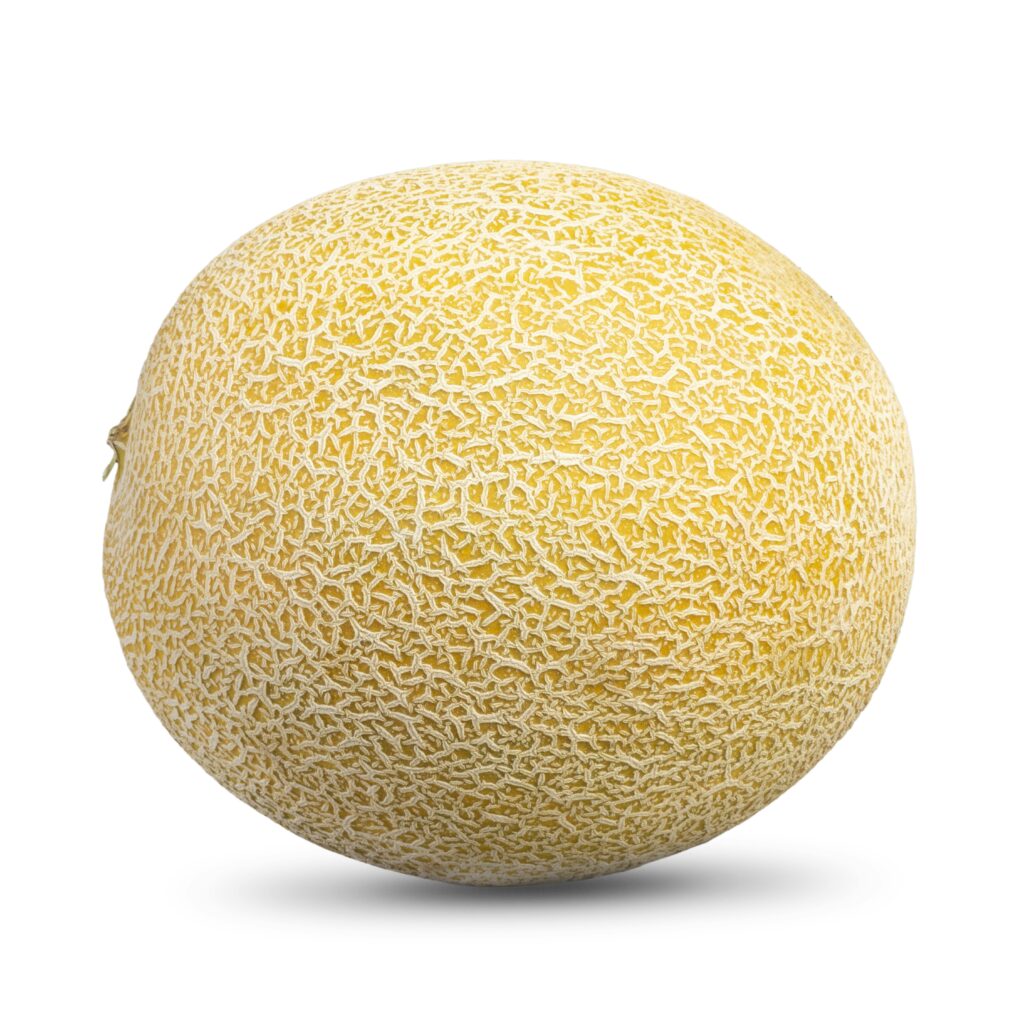 Melón Galia