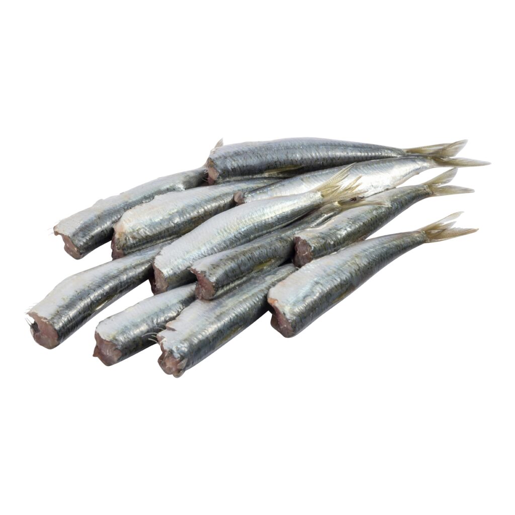 Sardina limpia sin cabeza y sin tripa