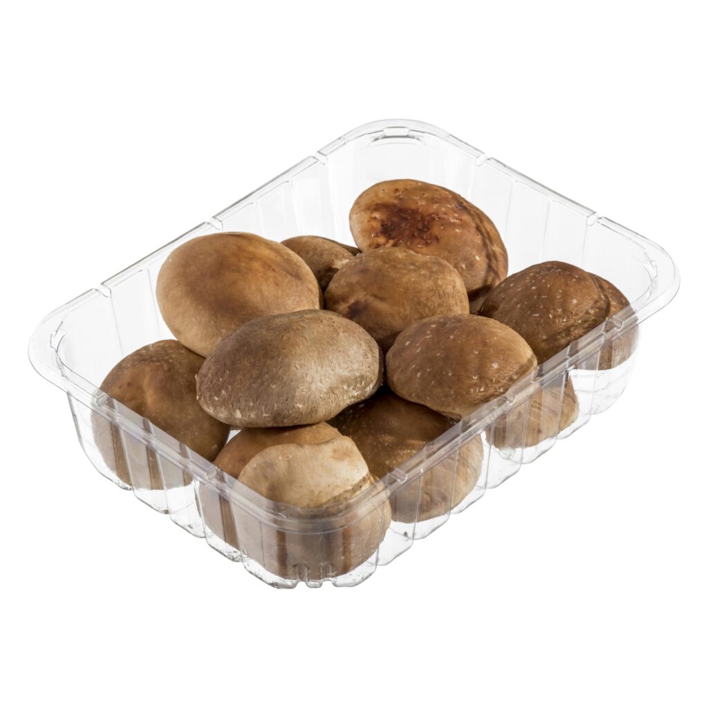 Seta shiitake